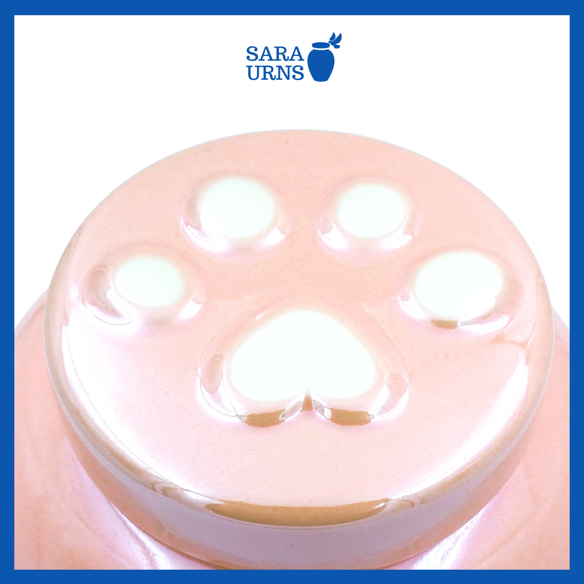 A higher angle of a pink ceramic pet urn with an embossed paw detail in the lid over a white background.